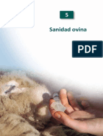 SANIDAD_OVINO-CHILE (1).pdf