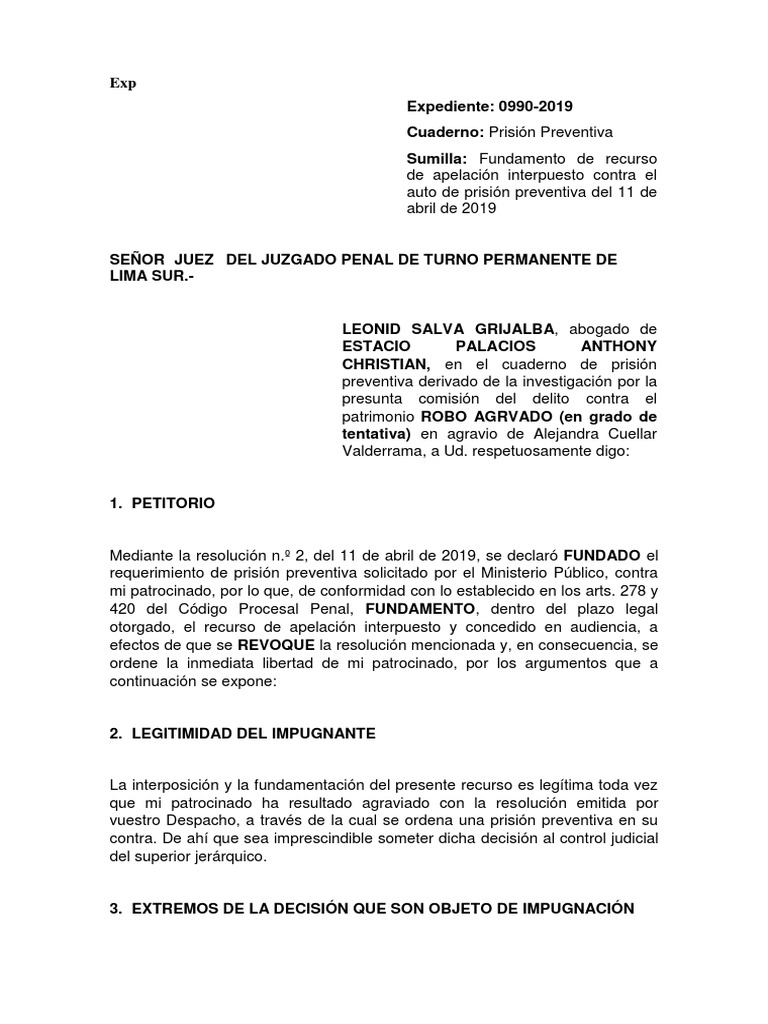 Fundamento Apelacion Prision Preventiva Castigos Apelacion