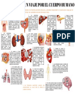 Infografia Un Viaje Por El Cuerpo Humano PDF