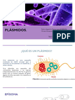 Plásmidos U4-5 (1)