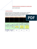 Clasificación de Los Aminoácidos en Función de La Naturaleza de Su Cadena Lateral