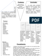 Bgano2 Relatorio Mitose Apice Vegetativo Cebola Ana Pinto