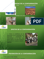 Contaminacion Ambiental Ok 16 21 PDF