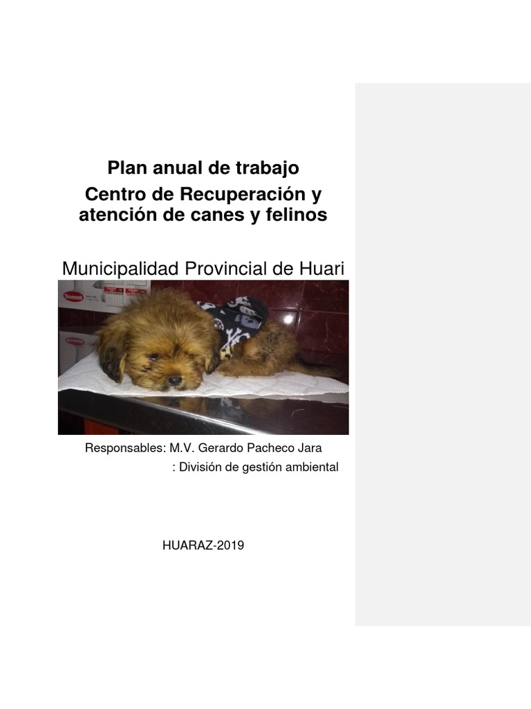 Plan Anual de Bienestar Animal en Huari | PDF | Perros | Mascota