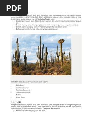 Xerofit Higrofit Dan Hidrofit Pdf