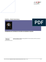 Perfil profissional_Operadora-de-Sistemas RSU.pdf