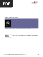 Perfil profissional_Operadora-de-Sistemas RSU.pdf