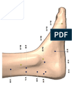 Meridiano Riñón Pie Izquierdo