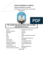 Plan de Trabajo de Internado Mishell