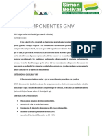 GNV PITER-1.docx