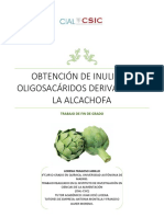 FragosoTFGinulina PDF