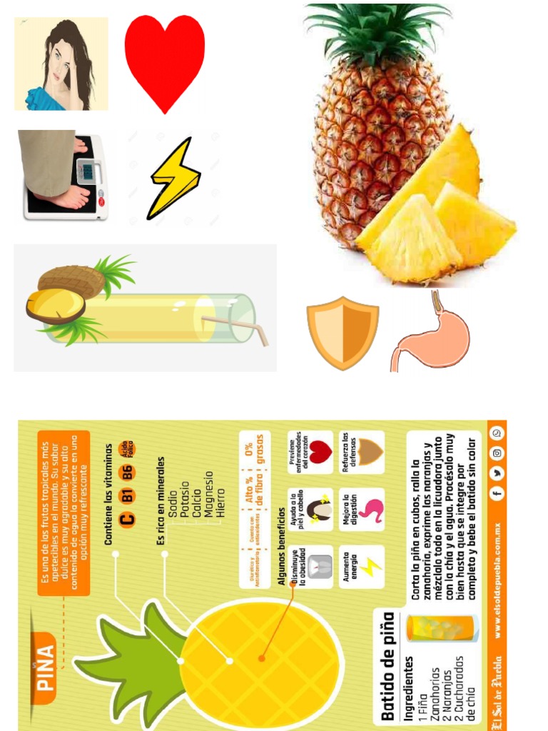 Infografia de La Piña | PDF
