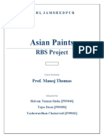 Asian Paints: RBS Project