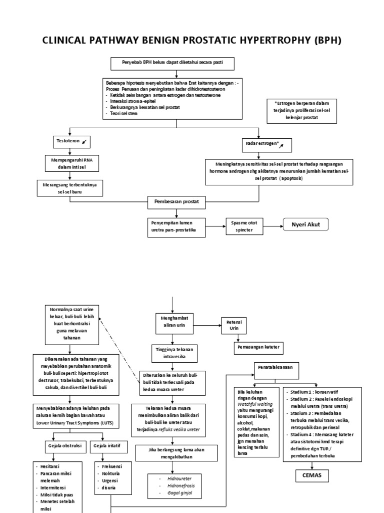 Clinical Pathway New | PDF
