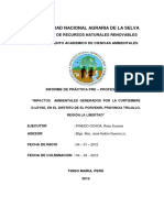 IMPACTOS AMBIENTALES GENERADOS POR LA CURTIEMBRE D-LEYSE, EN EL DISTRITO DE EL PORVENIR, PROVINCIA TRUJILLO, REGION LA LIBERTAD.pdf