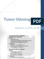 Tumor Odontogen