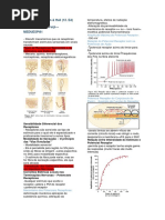 Capítulo 46 Guyton.docx