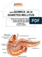 Bioquimica de La Diabetes Mellitus -2019 Upads
