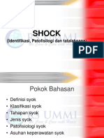 Shock DIKES 2