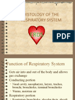 Lecture 1 HISTOLOGY OF THE RESPIRATORY SYSTEM