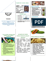 Leaflet CKD