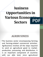 Business Opportunities in Various Economic Sectors