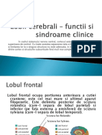 Lobii Cerebrali - Functii Si Sindroame Clinice