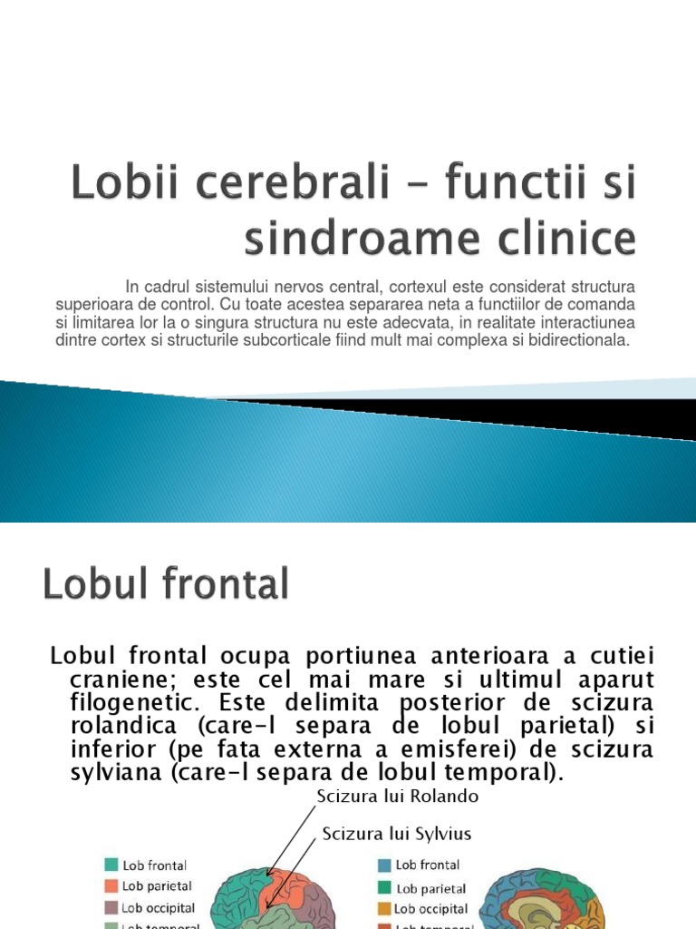 Lobii Cerebrali - Functii Si Sindroame Clinice | PDF