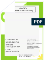 Formato Para Plantas