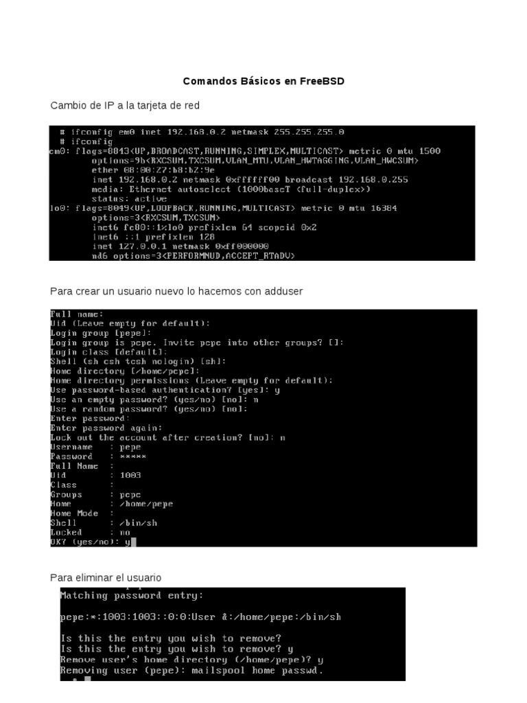 Comandos Esenciales en FreeBSD | PDF