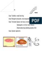 Lecture - 13 - Feb - 05 - Cestodes 1