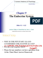 Endocrine System CH 9