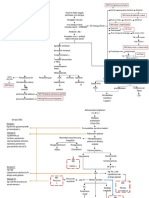 Pathway DHF Dan KDM