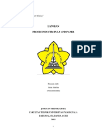 Auza Amrina - Proses Industri Pulp Dan Kertas PDF