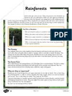 t2 e 2197 Y5 Rainforests Differentiated Reading Comprehension Activity