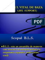 2.-SUPORTUL VITAL DE BAZA.ppt