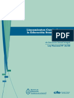 LINEAMIENTOS ESI.pdf