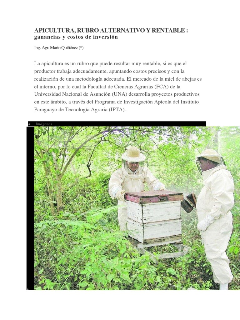 Apicultura: Rentabilidad y Costos | PDF | Apicultura | Miel
