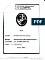 DCP. Univ. Javier Flores  Cruz.pdf