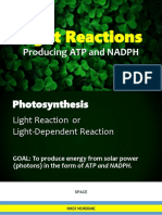 Grade 11 Light Reactions 2019 PDF
