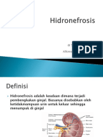 Alfonsus - Hidronefrosis.pptx