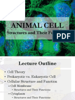 02 Cell Biology Part 1 PDF
