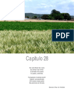 Impactos Socioambientais de Sistemas Agroenergeticos PDF