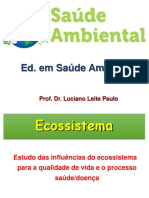 2 Aula Ecossistema Luciano Leite