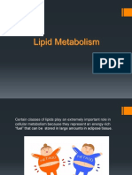 Lipid Digestion and Metabolism: A Concise Guide