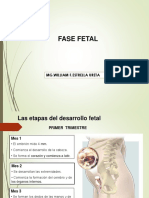 5.1-FASE FETAL