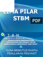 273348621-5-Pilar-Stbm.ppt