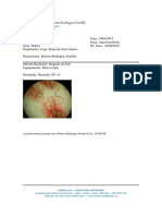 Exame Grega PDF