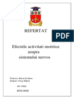 Efectele Activitatii Motrice Asupra Sistemului Nervos