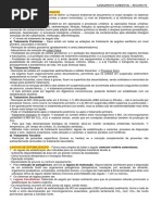 Saneamento Ambiental- Resumo P2.pdf